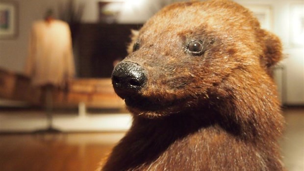 Conte en pyjama à la Maison amérindienne